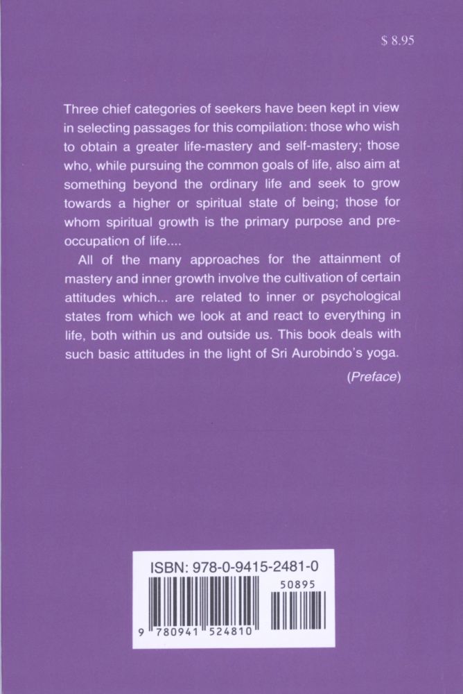 Looking from Within - Ebook