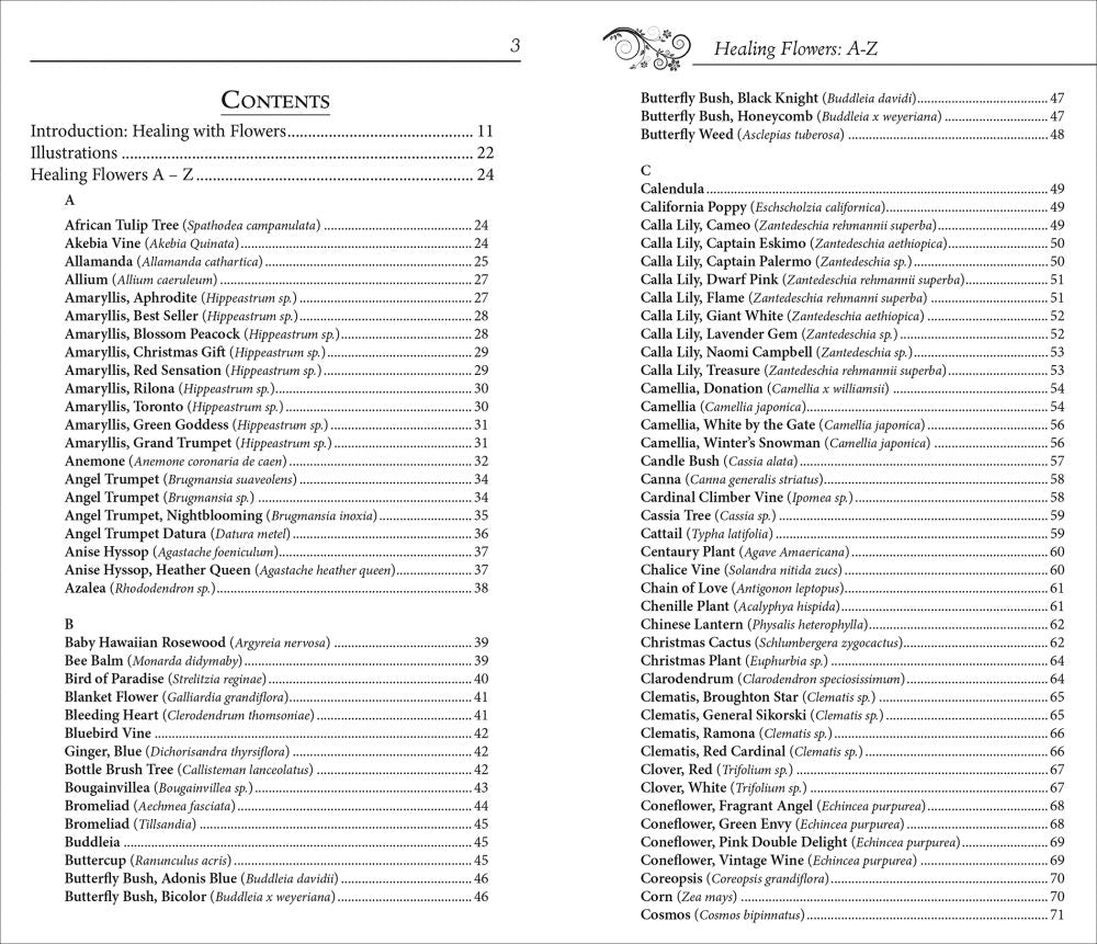 Healing Flowers A-Z - Ebook